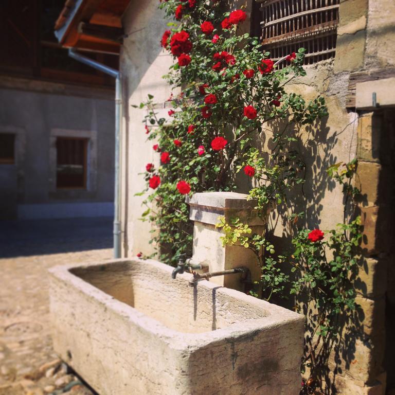 La Ferme Du Lignon Hotel Vernier Luaran gambar
